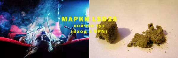 индика Балахна