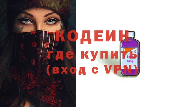 индика Балахна