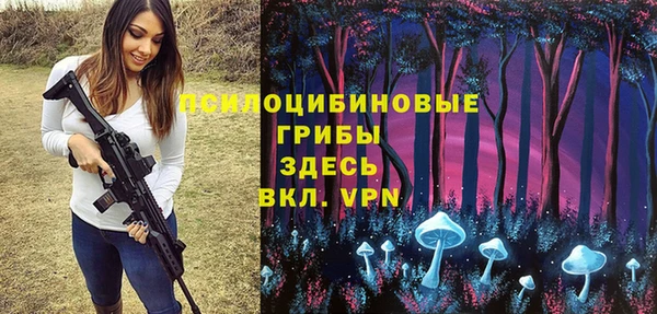 мяу мяу мука Баксан
