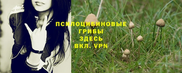 мяу мяу мука Баксан