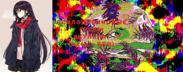 стафф Осташков
