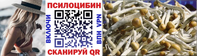 hydra рабочий сайт  Ульяновск  Псилоцибиновые грибы Magic Shrooms  продажа наркотиков 