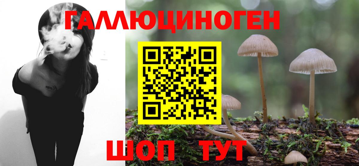 продажа наркотиков  Вход с VPN  Ульяновск  Галлюциногенные грибы MAGIC MUSHROOMS 
