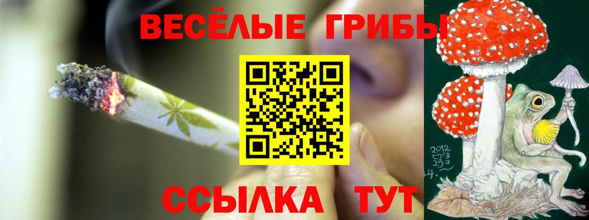Галлюциногенные грибы GOLDEN TEACHER Ульяновск