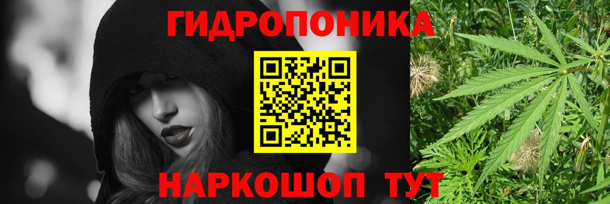 Бошки марихуана план  Вход с VPN  Ульяновск  Шишки марихуана тримм  Марихуана ГИДРОПОН 